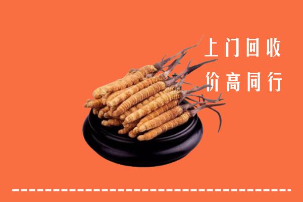 高价求购：池州市回收散虫草