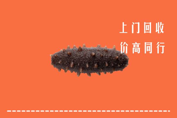 高价求购：池州市回收海参